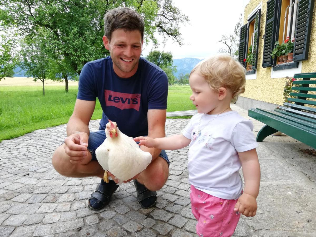 Weslhof Vila Attersee Exterior foto