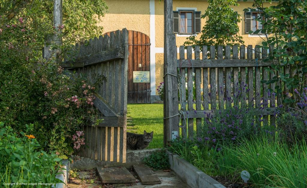 Weslhof Vila Attersee Exterior foto