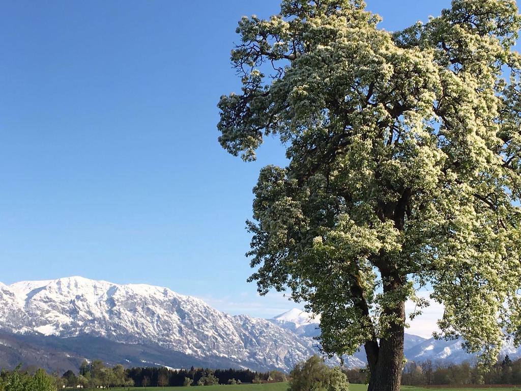 Weslhof Vila Attersee Exterior foto